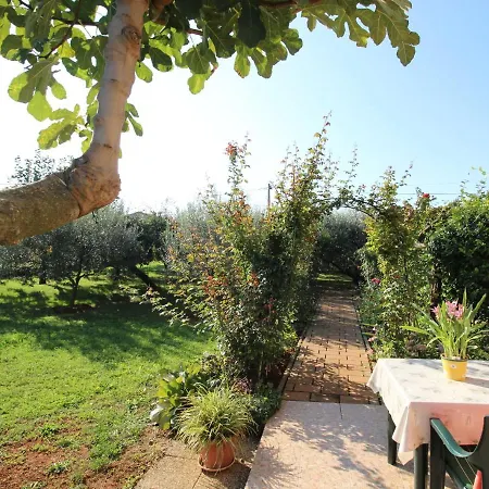 Alma A4 Novigrad Istria