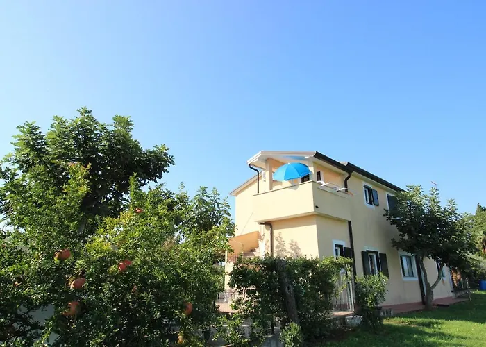 Alma A4 Novigrad Istria