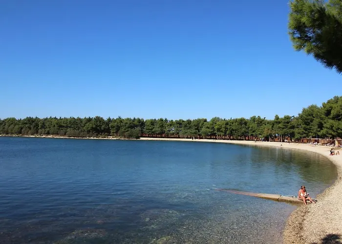 Alma A4 Διαμέρισμα