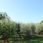 Alma A4 *