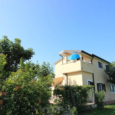 Alma A4 Novigrad Istria