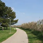 Alma A4 *